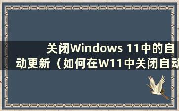 关闭Windows 11中的自动更新（如何在W11中关闭自动更新）